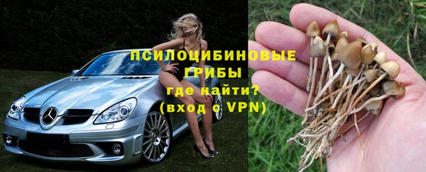 прущие грибы Абдулино