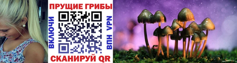 Псилоцибиновые грибы прущие грибы  сколько стоит  omg зеркало  Ковдор 